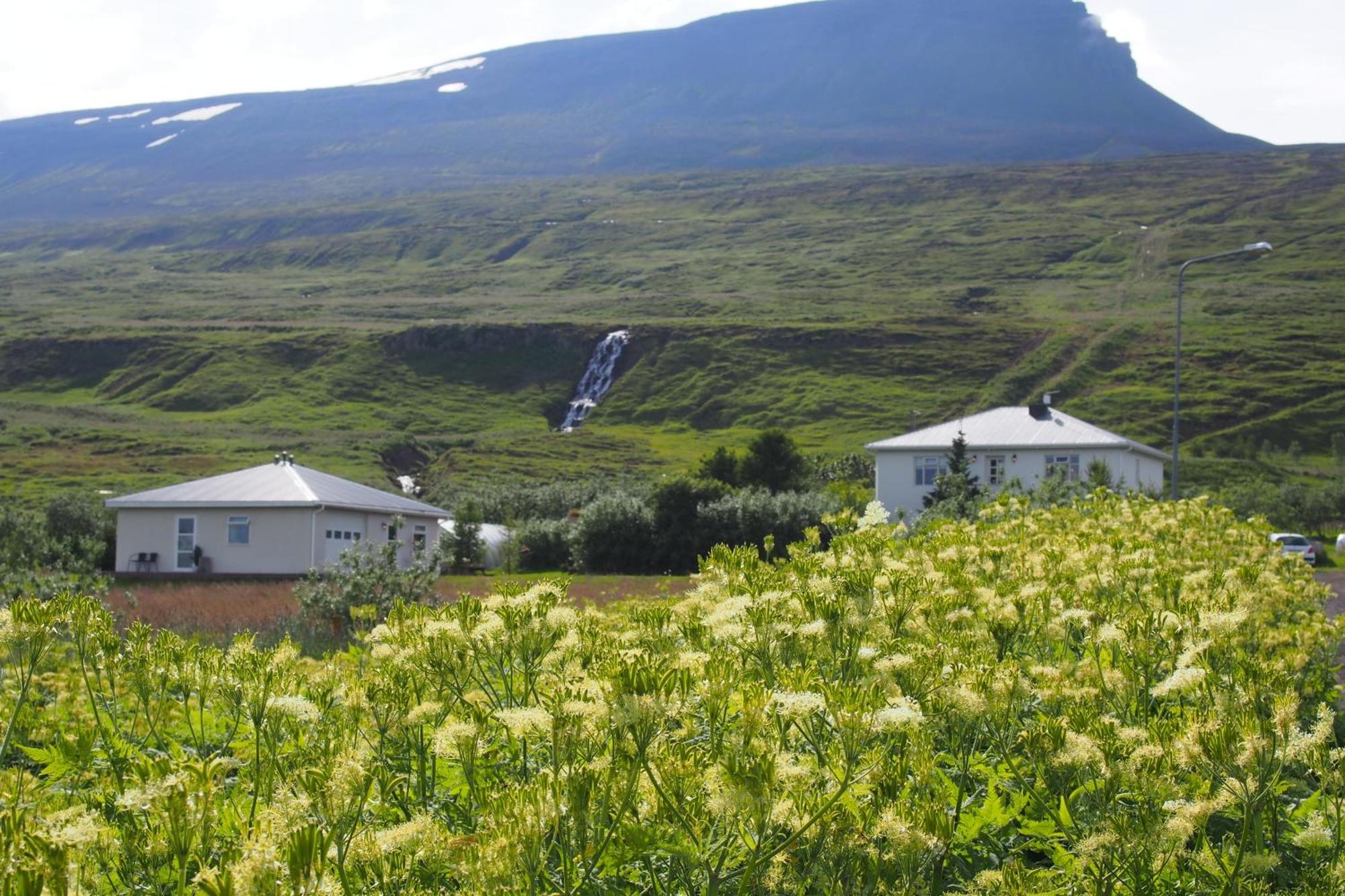 Granastathir Guesthouse Húsavík المظهر الخارجي الصورة