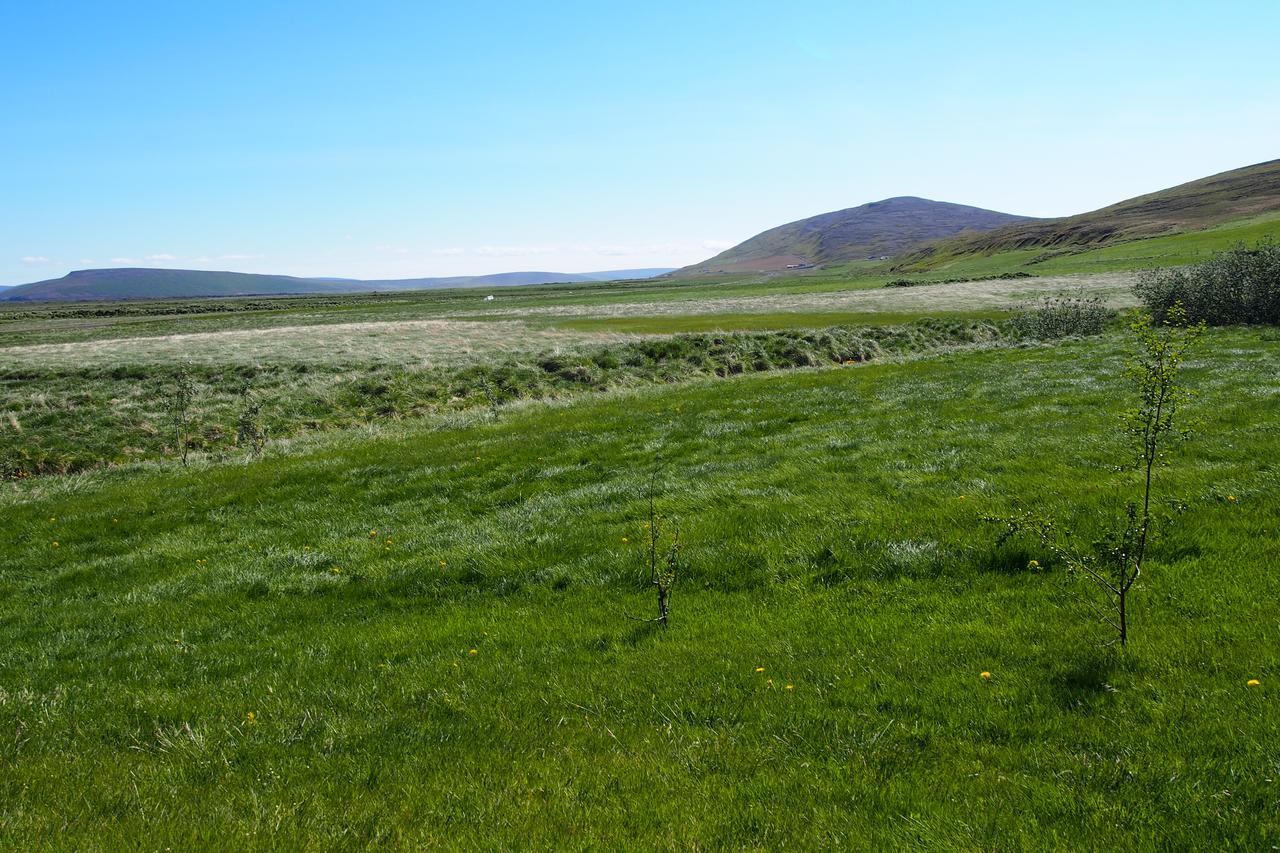 Granastathir Guesthouse Húsavík المظهر الخارجي الصورة